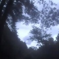 刺c - 清醒梦