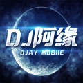 DJ阿缘Mobie - 你问西湖水