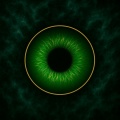 DJ El Dan、Marco Puma - Ojos Verdes