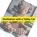 聽音樂 - Meditation wi th a Tabby Cat