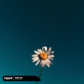 Hamidshax - Until You