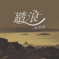 赵雨田 - 踏浪