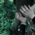 Mert - close