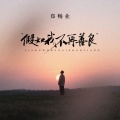 郑畅业 - 假如我不再善良