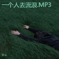 多云 - 风筝与白鹤.MP3