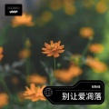 张盼峰 - 爱别凋落
