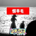 哈基咪 - 懒羊毛