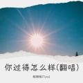你过得怎么样(翻唱)
