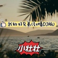 小壮壮 - 我的好兄弟