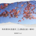 我抱着回忆想着你（DJ默涵女版）(翻唱)