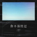 王斌宣 - 你不该经过