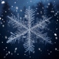 Deep Sleep Nature Sounds、Music for Quiet Moments、Solfeggio Healing Frequencies Dreamers - Drifting on Soft Winds of Peace