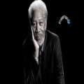 GuppyMadeThis1 - Freeman