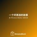 Thomas Bailey Aldrich、StreamzBook 中文、StreamzBook 青少年 中文 - 第十五章 - 一个老熟人出现 - 3