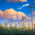 盛夏正式版