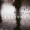 郑畅业 - 爱过痛过却错过