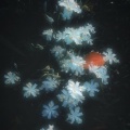 大叔很下饭 - The Way I Still Love You