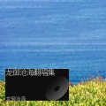 龙御沧海 - 红山果