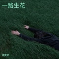 温奕芯 - 一路生花