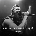 Skillet - Ash In The Wind