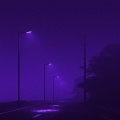 Dark Artist、Universatility Group - pilgrimage