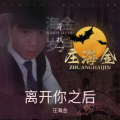庄海金 - 离开你之后