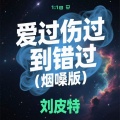 刘皮特 - 爱过伤过到错过