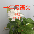 麦子 - 小猴子下山