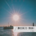 哪怕容颜已老（舞曲版）