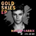 Martin Garrix - Proxy