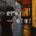 何欢浪 - 爱了痛了散了懂了