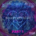 Mulberry Blue - Aesthetic
