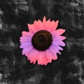 Origami Phase - Lilith
