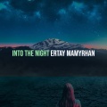Ertay Mamyrhan - Into the Night