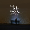 洋澜一 - 过火