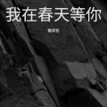 魏贤哲 - 我在春天等你
