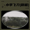 太上黄、玉晶晶、唱歌、大吉大利 - 小李飞刀-主题曲音乐
