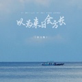 安儿陈 - 以为来日会方长