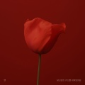 당신과의 키스를 세어보아요 (Counting Our Kisses)