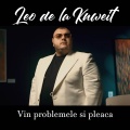 Vin problemele si pleaca