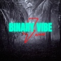 Binary Vibe