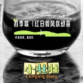 四季歌（红日微风吹幼苗）