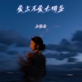 王佳音 - 爱与不爱太明显
