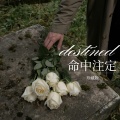珍藏版 - 石沉大海