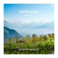 Scandinavianz - Wellness