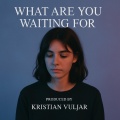 Kristian Vuljar - What Are You Waiting For