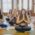 Chill My Pooch、Concentration Music Ensemble、Concentration Music Sessions - Healing Treatments