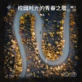 林晚星 - 校园时光的青春之歌