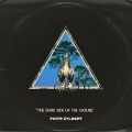 Piotr Zylbert - The Dark Side Of The Nature