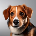 Good Dog Music、Stress Reducing Music Zone、Top Hz Deep Anxiety Relief - Calm in Every Step They Take
